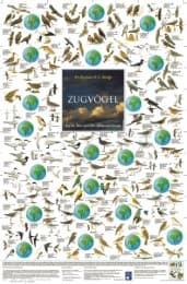 Cover von Zugvögel - Auf der Reise zwischen Afrika und Europa