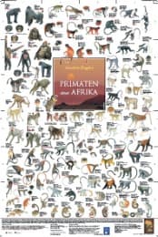 Cover von Primaten aus Afrika