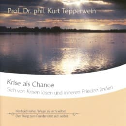 Cover von Krise als Chance