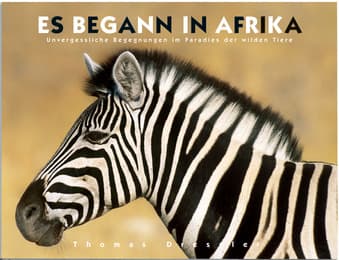 Cover von Es begann in Afrika