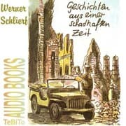 Cover von Geschichten aus einer schadhaften Zeit