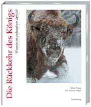 Cover von Rückkehr des Königs