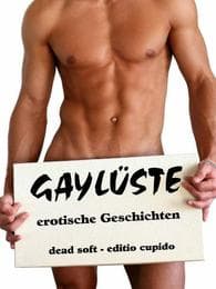 Cover von GAYLÜSTE