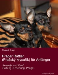 Cover von Prager Rattler (Prazský krysarík) für Anfänger