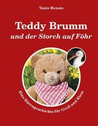 Cover von Teddy Brumm und der Storch auf Föhr