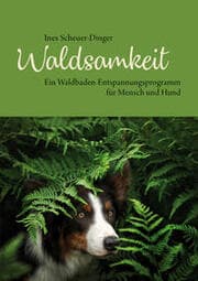 Cover von Waldsamkeit