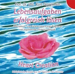 Cover von Lebensaufgaben erfolgreich lösen
