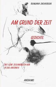 Cover von Am Grund der Zeit