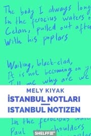 Cover von Istanbul Notlari/Istanbul Notizen