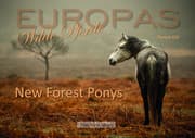 Cover von New Forest Ponys