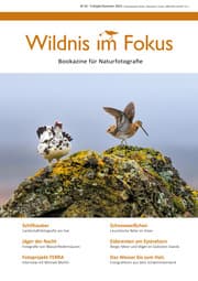 Cover von Wildnis im Fokus 2