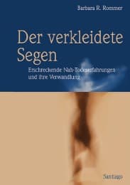 Cover von Der verkleidete Segen