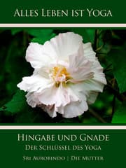 Cover von Hingabe und Gnade