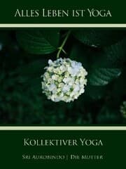 Cover von Kollektiver Yoga