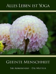 Cover von Geeinte Menschheit