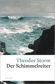 Cover von Der Schimmelreiter