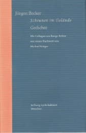 Cover von Scheunen im Gelände