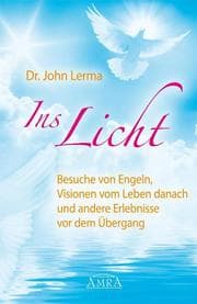 Cover von Ins Licht