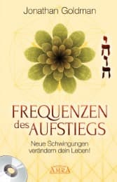 Cover von Frequenzen des Aufstiegs