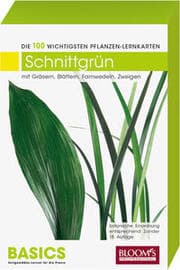 Cover von Schnittgrün - mit Gräsern, Blättern, Farnwedeln, Zweigen
