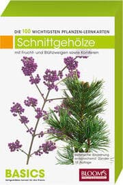 Cover von Schnittgehölze - mit Frucht- und Blühzweigen sowie Koniferen