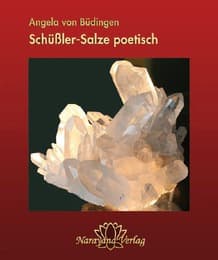 Cover von Schüßler-Salze poetisch