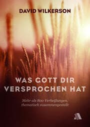 Cover von Was Gott dir versprochen hat