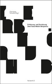 Cover von Erfahrung und Zerstörung -