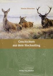 Cover von Geschichten aus dem Hochsolling