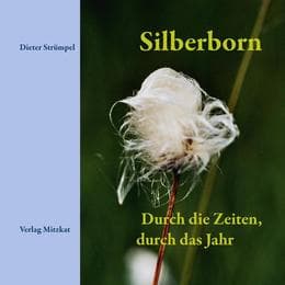 Cover von Silberborn