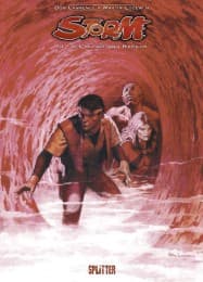 Cover von Storm. Band 14