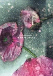 Cover von Rainflowers