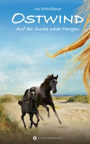 Cover von OSTWIND - Auf der Suche nach Morgen