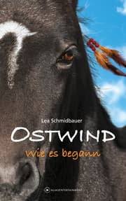 Cover von OSTWIND - Wie es begann