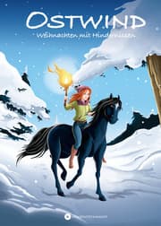 Cover von Ostwind - Weihnachten mit Hindernissen