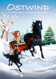 Cover von Ostwind - Ein besonderes Weihnachtsgeschenk