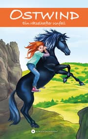Cover von OSTWIND - Ein rätselhafter Unfall