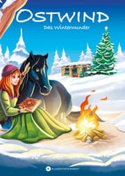 Cover von Ostwind - Das Winterwunder