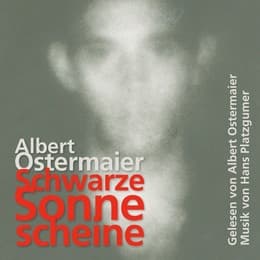 Cover von Schwarze Sonne scheine