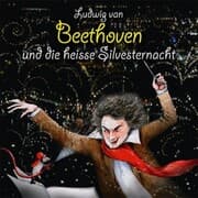 Cover von Ludwig van Beethoven und die heisse Silvesternacht