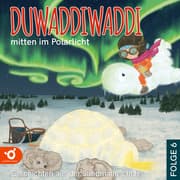 Cover von Duwaddiwaddi mitten im Polarlicht