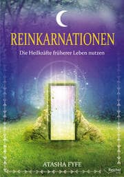 Cover von Reinkarnationen