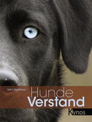 Cover von HundeVerstand
