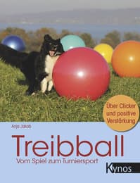 Cover von Treibball