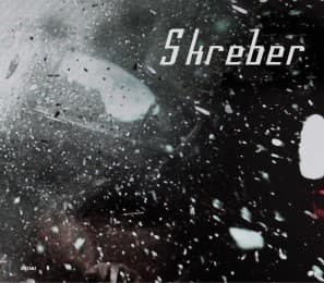 Cover von Dirk Skreber