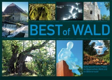 Cover von BEST of Wald