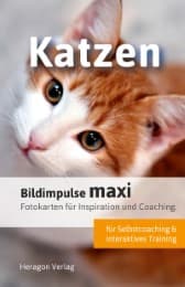 Cover von Bildimpulse maxi: Katzen