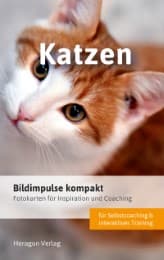 Cover von Bildimpulse kompakt: Katzen