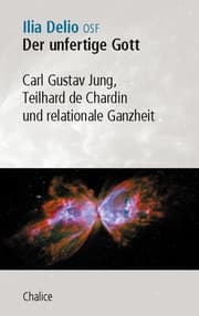 Cover von Der unfertige Gott