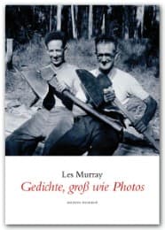 Cover von Gedichte, gross wie Photos